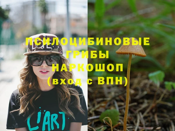 дживик Гатчина