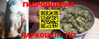 spice Апрелевка