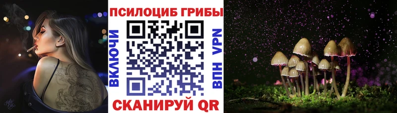 где можно купить наркотик Верхняя Салда Галлюциногенные грибы мухоморы