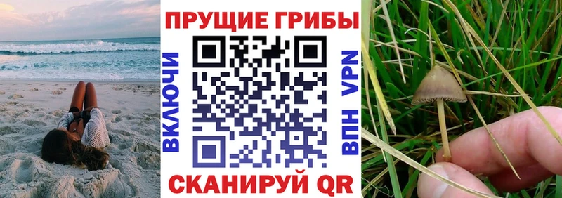 Галлюциногенные грибы Cubensis Верхняя Салда