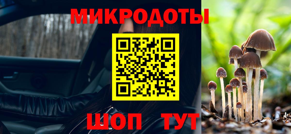 Псилоцибиновые грибы Psilocybe  Вход с VPN  Верхняя Салда  Псилоцибиновые грибы Psilocybine cubensis 
